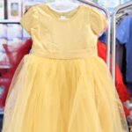 Girls’ Elegant Gold Tulle Dress